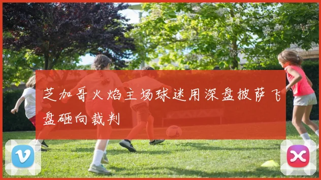 芝加哥火焰主场球迷用深盘披萨飞盘砸向裁判