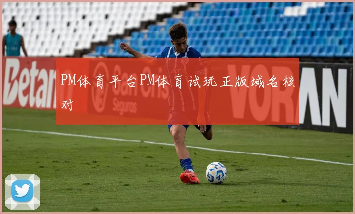 PM体育平台PM体育试玩正版域名核对