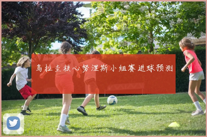 乌拉圭核心努涅斯小组赛进球预测