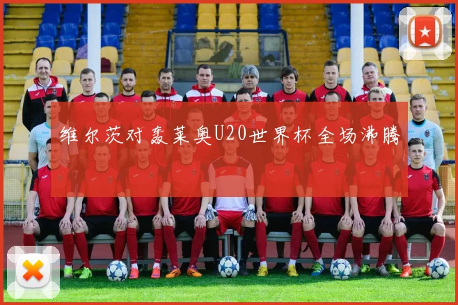 维尔茨对轰莱奥U20世界杯全场沸腾