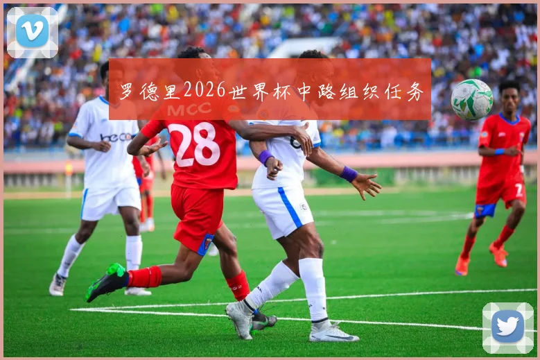 罗德里2026世界杯中路组织任务