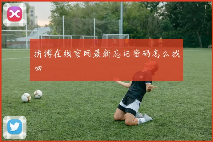 拼搏在线官网最新忘记密码怎么找回