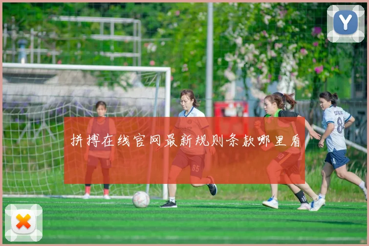 拼搏在线官网最新规则条款哪里看