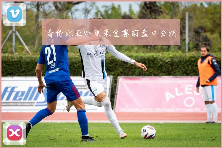 哥伦比亚vs刚果金赛前盘口分析