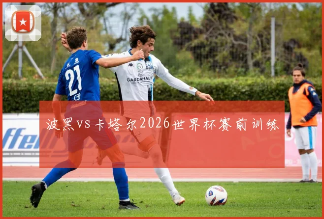 波黑vs卡塔尔2026世界杯赛前训练