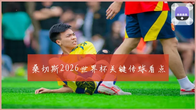 桑切斯2026世界杯关键传球看点