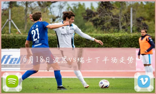 6月18日波黑vs瑞士下半场走势