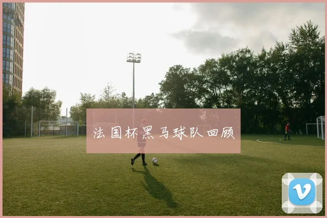 法国杯黑马球队回顾